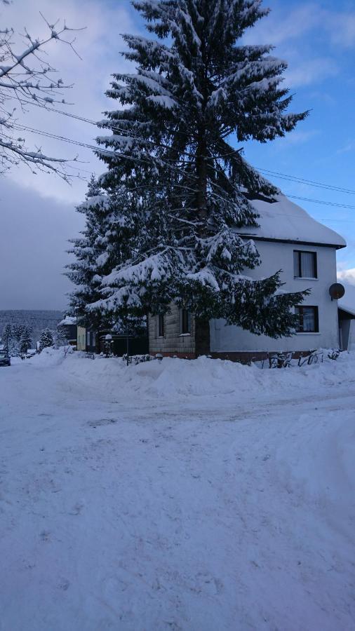 Apartmán Haus Hasenmueller Schmiedefeld am Rennsteig Exteriér fotografie