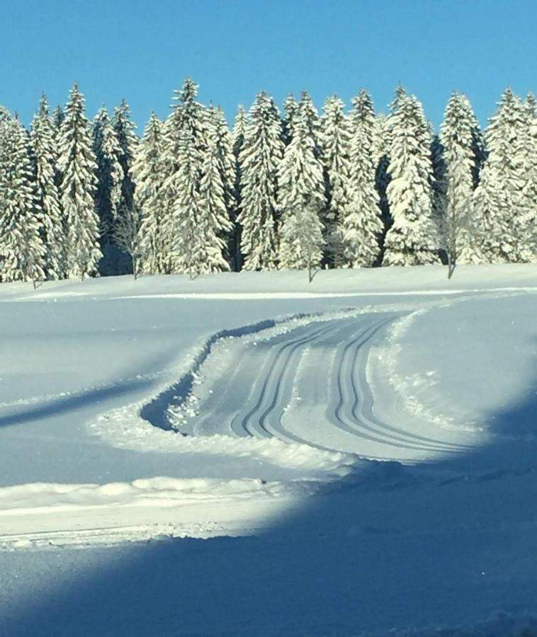 Apartmán Haus Hasenmueller Schmiedefeld am Rennsteig Exteriér fotografie